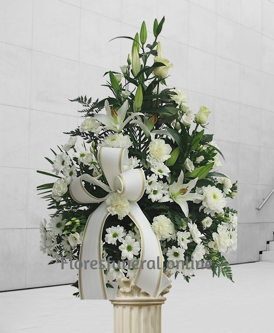 enviar centros funerarios