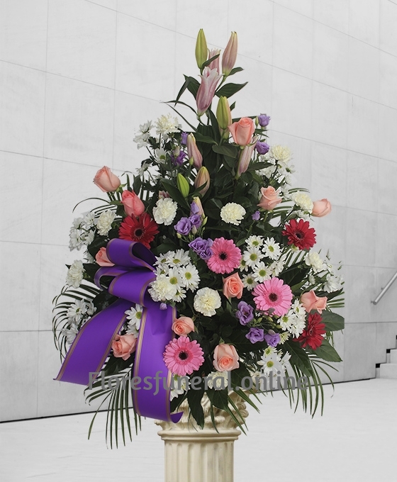 enviar centros funerarios a tanatorio